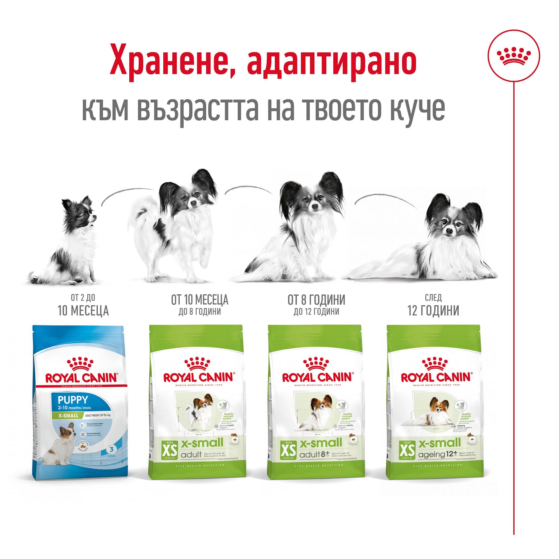 ROYAL CANIN® SHN X-SMALL ADULT 1.5кг - Image 4
