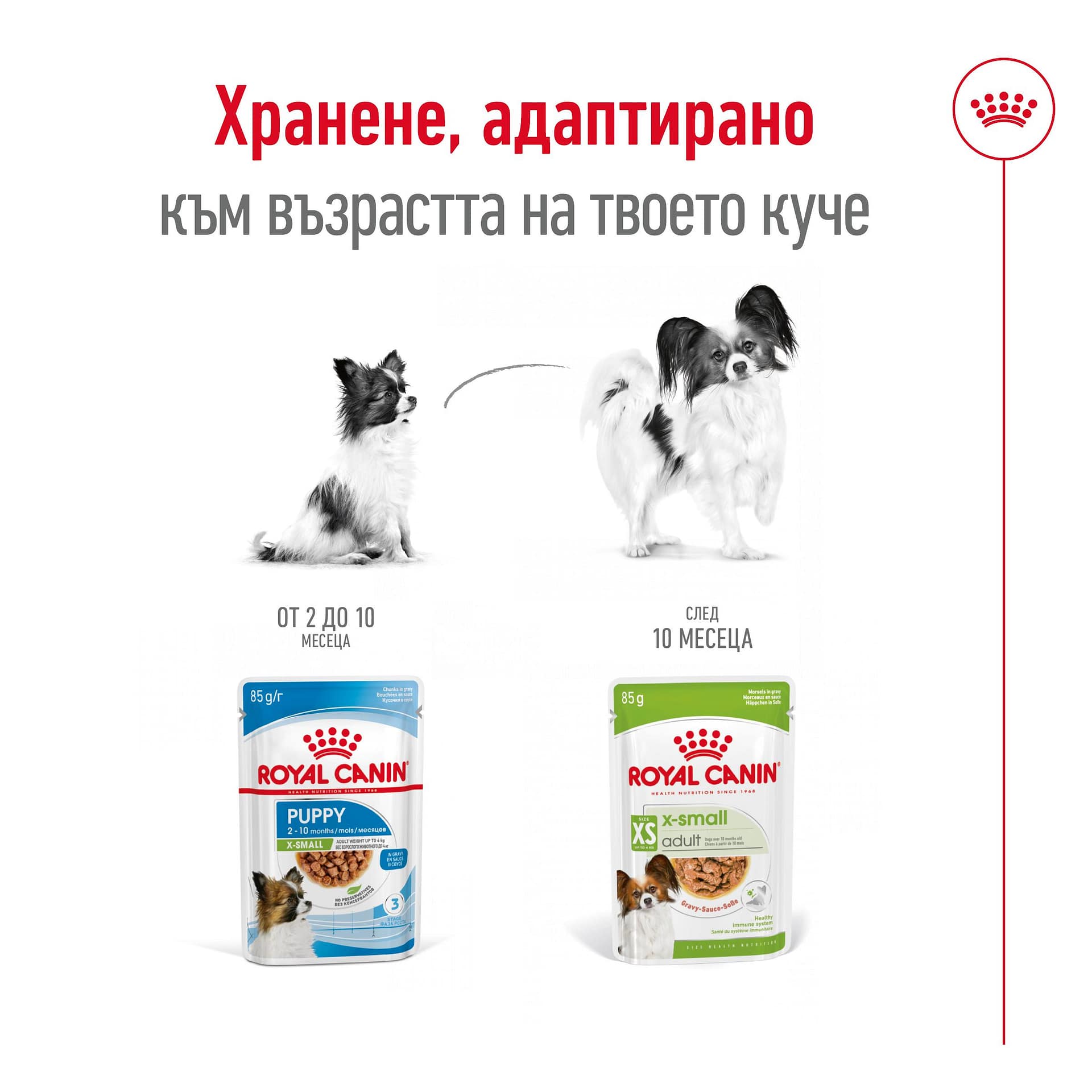 ROYAL CANIN® SHN X-SMALL ADULT хапки в сос 85г стек/12бр - Image 3