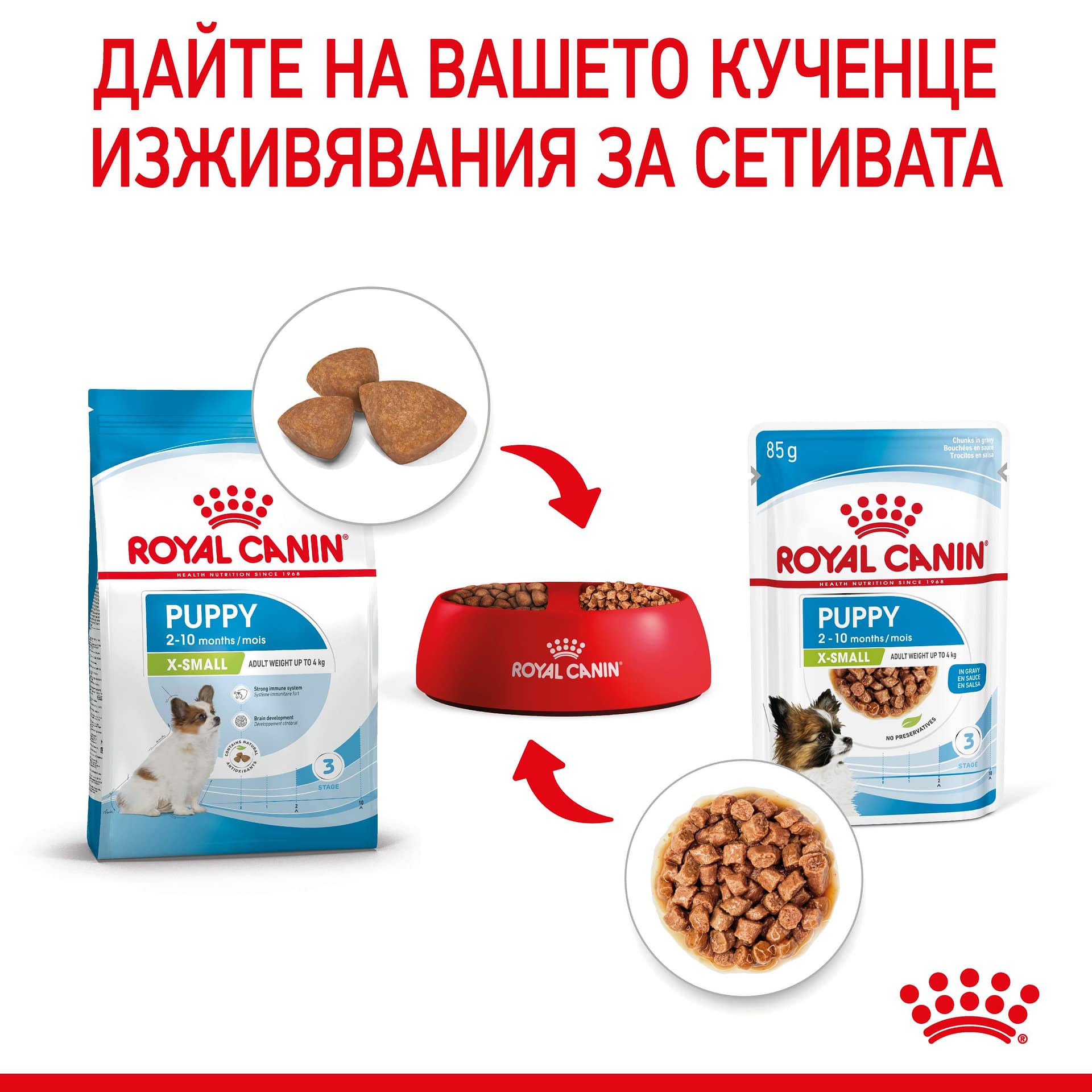 ROYAL CANIN® SHN X-SMALL PUPPY хапки в сос 85г стек/12бр - Image 5
