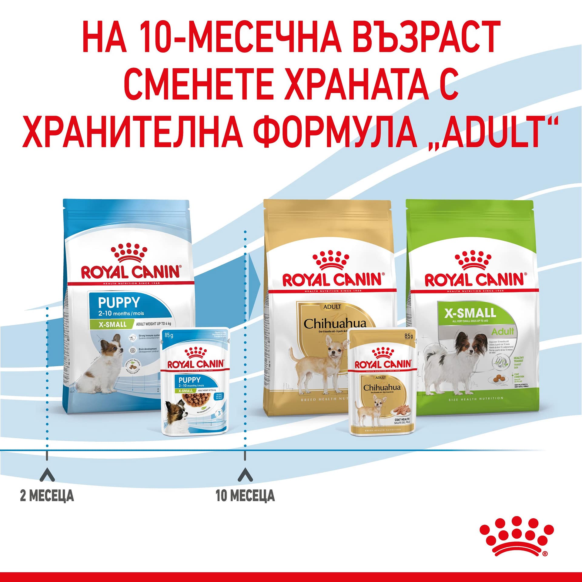 ROYAL CANIN® SHN X-SMALL PUPPY хапки в сос 85г стек/12бр - Image 4