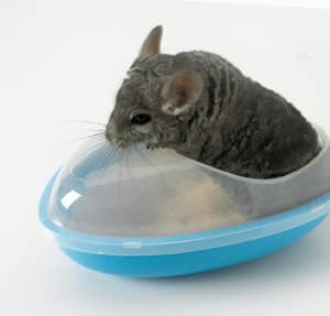 Съд за пясъчна баня чинчили Savic