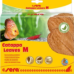 sera Catappa Leaves M 16-20см, 10 броя