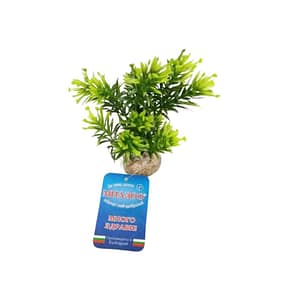 Растение Papirus Medium 15см от Sydeco, Франция