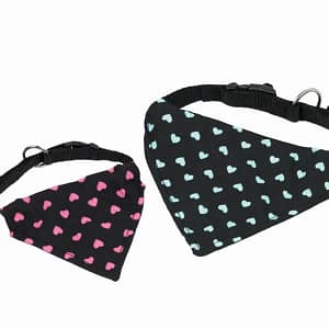 Нашийник с кърпа 20-30см./10мм. тюркоаз