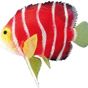 Декорация за аквариум "SKALAR"