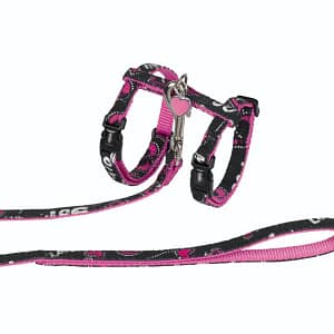 Комплект за котка повод + нагръдник LOVE черен