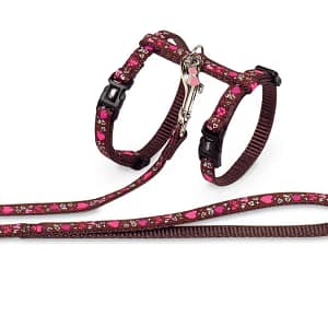 Комплект за котка повод + нагръдник LOVE