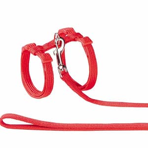 Комплект за котки нагръдник и повод