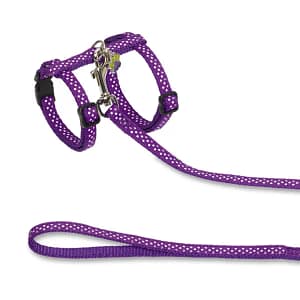 Комплект за котка с медальон DOTS