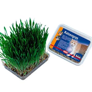 Трева за котки NOBBY 100 гр.