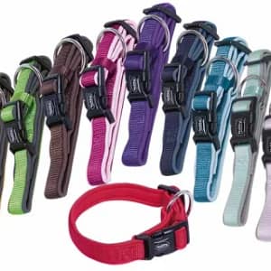 Нашийник CLASSIC PRENO 15/20 мм./20-30 см. червен/червен