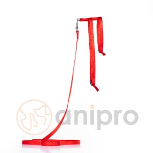 Повод с нагръдник от изк. лента 1.0 см., червен