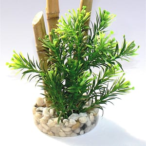 Растение Bamboo Forest Plants 20см от Sydeco, Франция