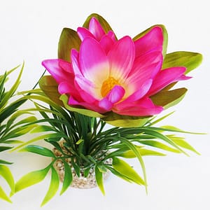 Растение Lotus Flower 18см от Sydeco, Франция