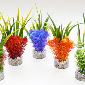 Растение Nano Fiesta Flower 14см от Sydeco, Франция