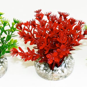 Растение Nano Flowering Bush 10см от Sydeco, Франция