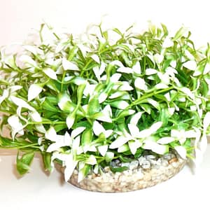 Растение Water Ball Maxi 18см от Sydeco, Франция