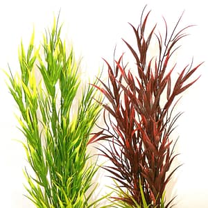 Растение Wild Mountain 39см от Sydeco, Франция