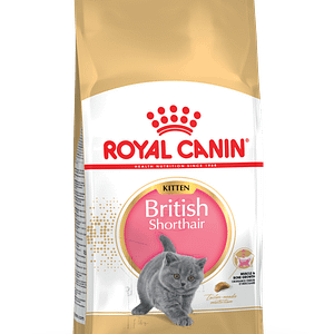 ROYAL CANIN® FBN BRITISH SHORTHAIR KITTEN 10кг