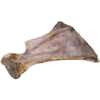 Лакомство Сушена телешка лопатка 28-33 см, 1 бр.