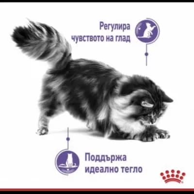 ROYAL CANIN® FCN APPETITE CONTROL CAT 10кг - Image 4
