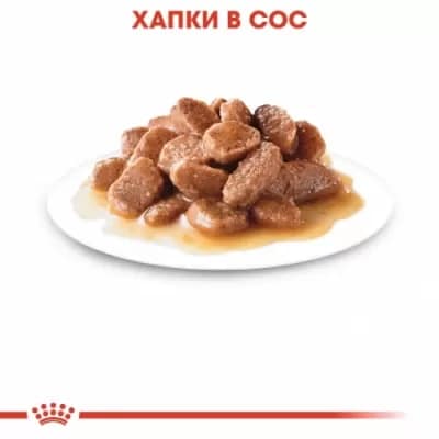 ROYAL CANIN® FCN CARE DIGEST SENSITIVE CAT 85г стек/12бр - Image 4