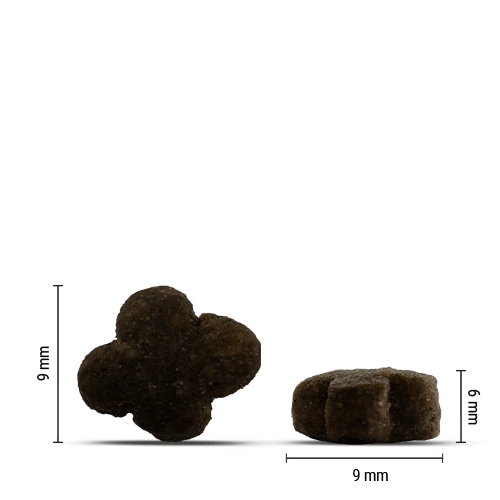 Chicopee Holistic Kitten - пълноценна суха храна за подрастващи котета до 12 месеца, 8 кг - Image 2