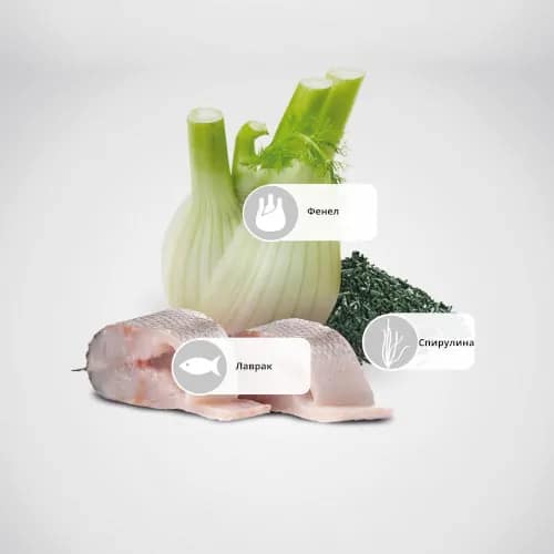 N&D DOG WHITE SPIRULINA MINI AD 5kg- бяло куче,с лаврак и фенел - Image 4