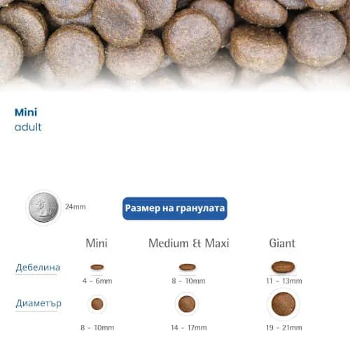 N&D DOG WHITE SPIRULINA MINI AD 5kg- бяло куче,с лаврак и фенел - Image 5