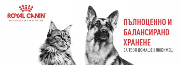 mobile banner ultra 1