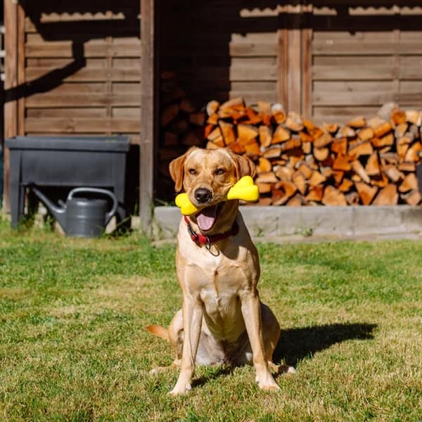 Играчка плътна гума КОКАЛ 23 см. жълт - Image 2