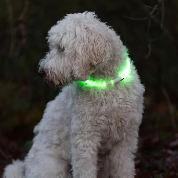 LED нашийник VISIBLE с USB зелен размер М - Image 3