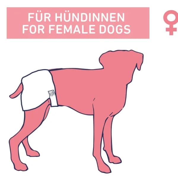 Памперс гащи за женски кучета - XS-S - Image 3