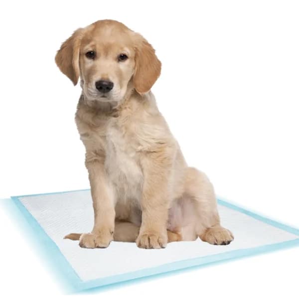 Памперс постелка размер - XL - Image 2