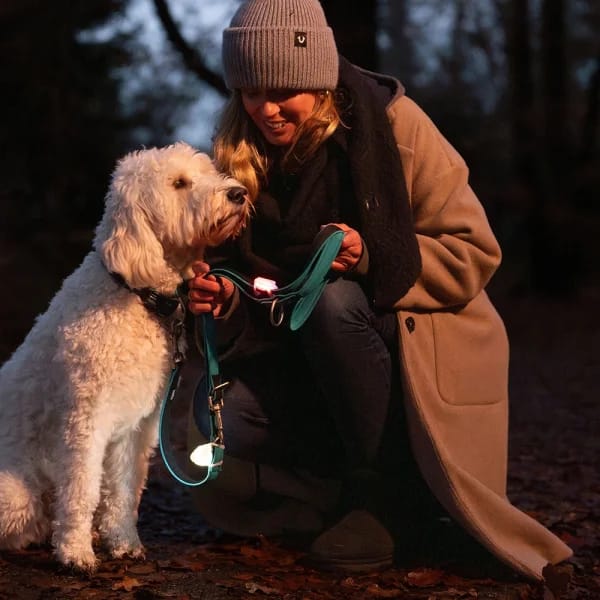 Светещ клипс "Multi Light" - Image 3