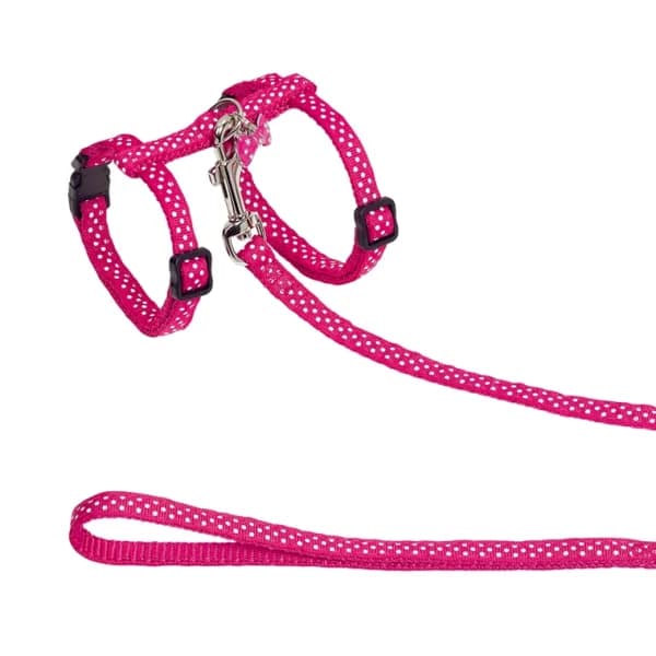 Комплект за котка с медальон DOTS