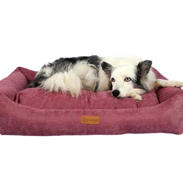 Легло COOKIE розово - Image 2