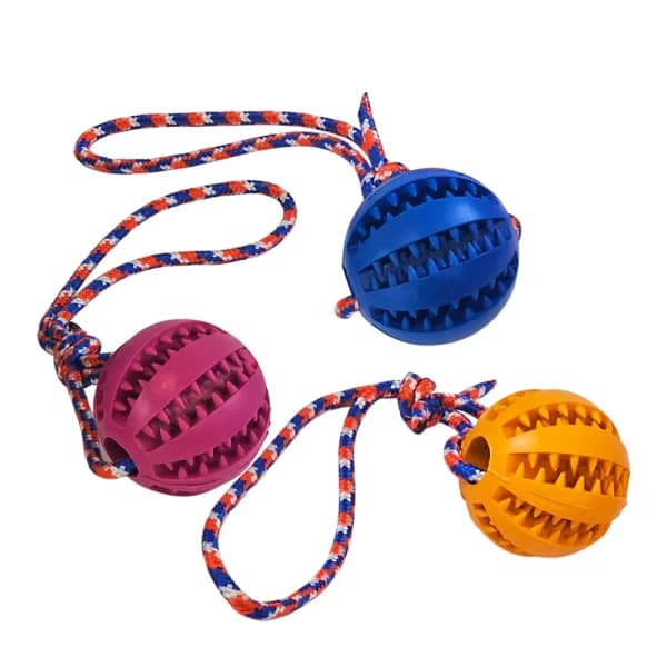 Играчка Dental топка ф 7см. с въже 30 см. - Image 2