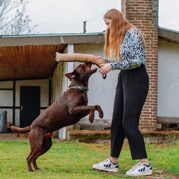 Играчка за обучение от юта 30*5см - Image 2