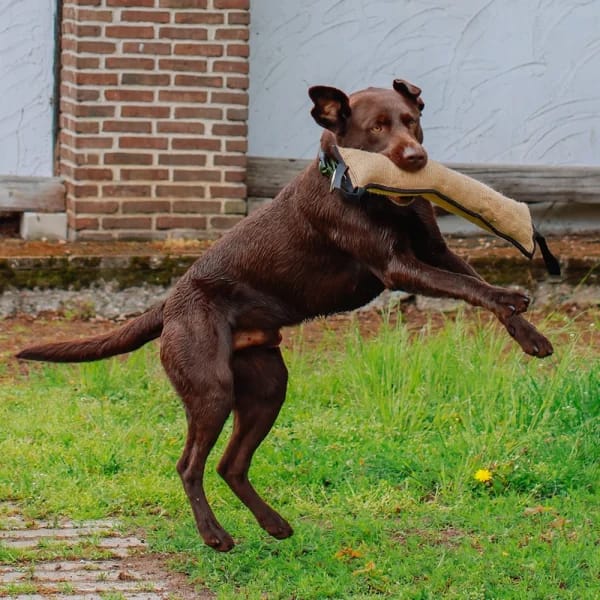 Играчка за обучение от юта 30*5см - Image 5