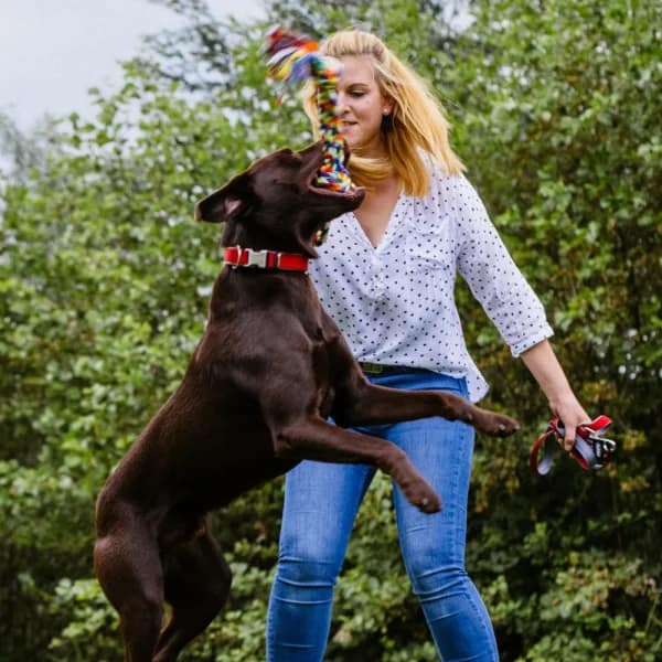 Играчка въже двойно с 3 възела - Image 2