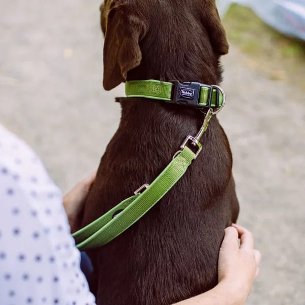 Нашийник CLASSIC PRENO EXTRA 38/40 мм./40-55 см. зелен/сив - Image 3