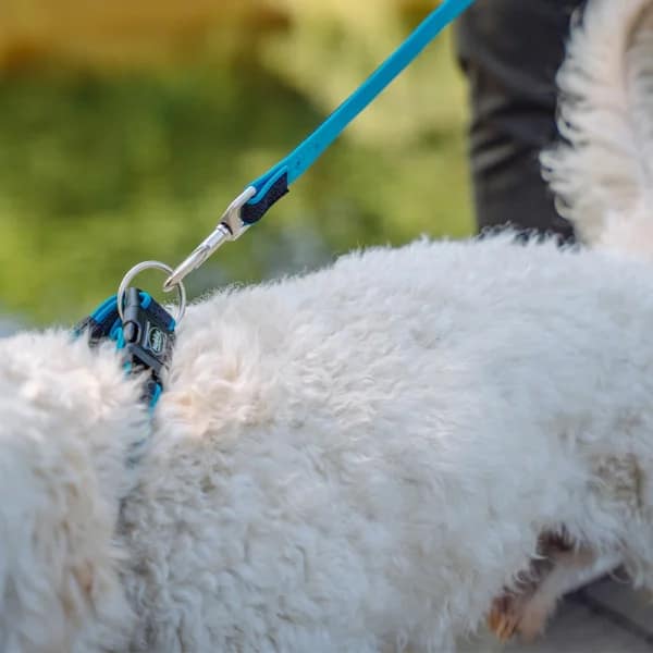 Повод MESH PRENO 15/20 мм./120 см. светло син - Image 2