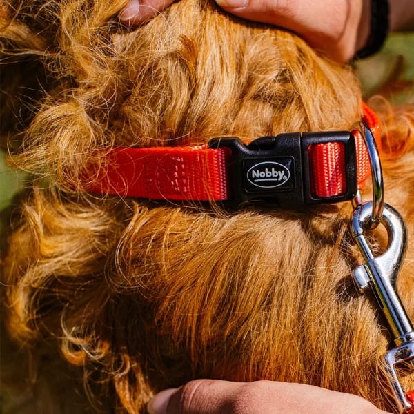 Нашийник “Classic“ 20-35 см./10 мм. червен - Image 3