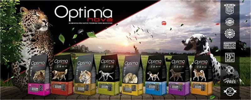 mobile banner fixed 2